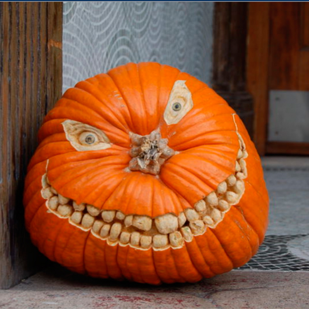 Bilderesultat for funny pumpkin
